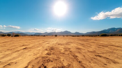 Naklejka premium Drought reveals the stark beauty of a parched landscape under a blazing sun