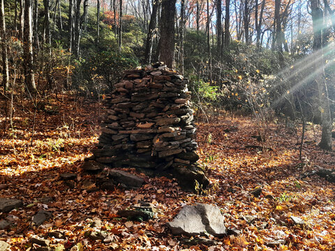 Ruined Chimney in the Middle of the Forest