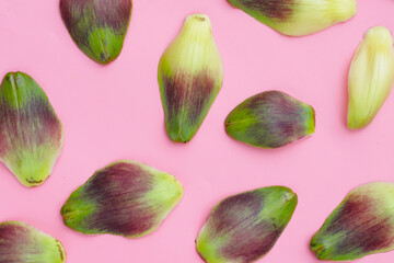 Artichoke petals on pink background.