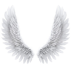 Obraz premium Angel Wings Clipart, Angel Wings Photo Overlays, White Wings
