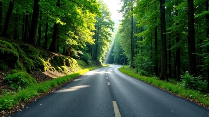 Fototapeta premium Serene Winding Road Through Lush Green Canopy, Sunbeams Illuminating the Path Ahead