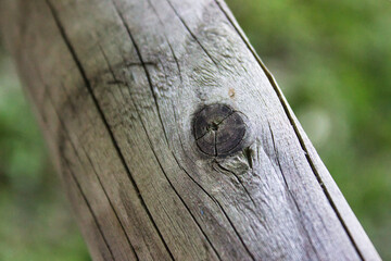 Weathered wooden log with natural texture