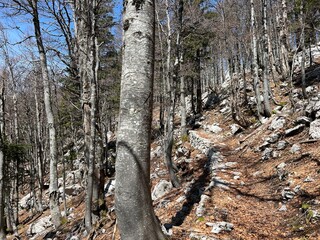 Premuzic hiking trail or Premuzic Trail - Northern Velebit National Park, Croatia or Premuzic-Wanderweg or Premuzic's Trail (Pješački planinarski put Premužićeva staza - NP Sjeverni Velebit, Hrvatska)