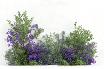 Obraz premium Purple flowers bloom on various shrubs, bushes. Top view of decorative plants for landscape design. Floral display in outdoor setting. Detailed illustration showing different plant types for