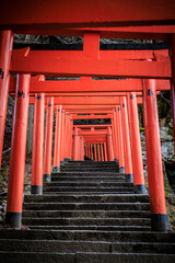 Red Torii Gate Pathway Leading Upward in Arikoyama Inari Shrine, Izushi, Japan