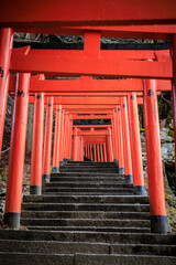 Red Torii Gate Pathway Leading Upward in Arikoyama Inari Shrine, Izushi, Japan