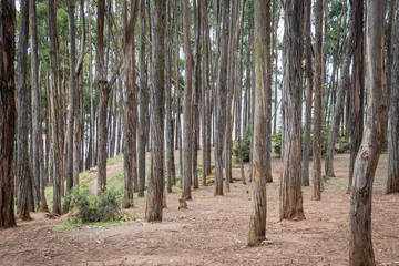 Sitio arqueológico de Qenqo, en Cusco, Perú.