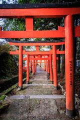 Red Torii Gate Pathway Leading Upward in Arikoyama Inari Shrine, Izushi, Japan