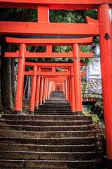 Red Torii Gate Pathway Leading Upward in Arikoyama Inari Shrine, Izushi, Japan