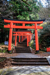 Red Torii Gate Pathway Leading Upward in Arikoyama Inari Shrine, Izushi, Japan