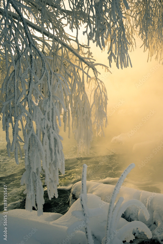 Wall mural landscape with trees and snow