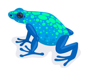 Exotic frog. Cartoon tropical rainforest amphibian animal, blue exotic frog flat vector illustration. Cute frog on white background
