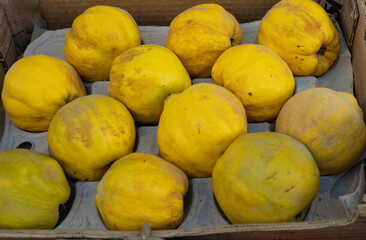 Membrillos  expuestos para la venta