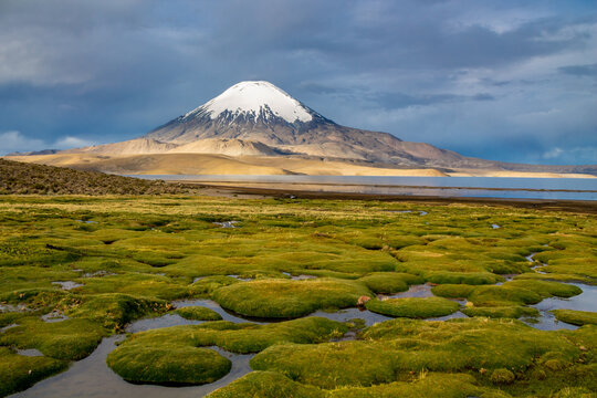 Scenic volcano landscape in Chile. Volcano Parinacota in Arica y Parinacota region. Volcanic cone snow mountain summit above the lake at the sunset on altiplano in South America Andes