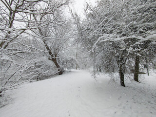 Winter Landscape of South Park in city of Sofia, Bulgaria