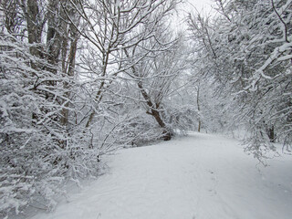 Winter Landscape of South Park in city of Sofia, Bulgaria