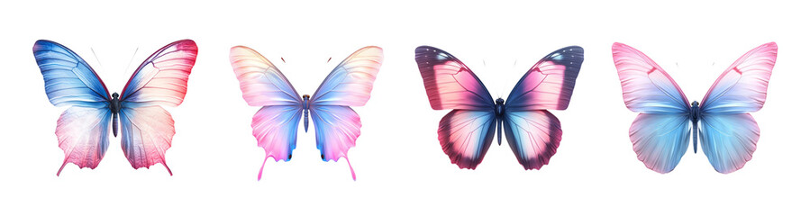 Fototapeta premium Colorful Butterfly Collection in Various Shades