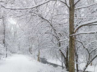 Winter Landscape of South Park in city of Sofia, Bulgaria