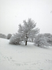 Obraz premium Winter Landscape of South Park in city of Sofia, Bulgaria