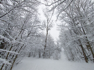 Winter Landscape of South Park in city of Sofia, Bulgaria