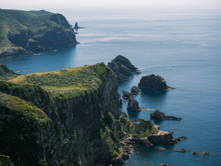 隠岐諸島西ノ島国賀浜