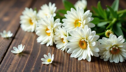 Obraz premium delicate white chrysanthemum flowers scattered on a wooden table, isolated, still life, gentle
