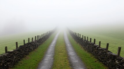 Fototapeta premium Foggy Pathway Through Green Fields with Stone Wall Fencing