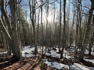 The last remnants of spring snow after a long and harsh mountain winter - Northern Velebit National...
