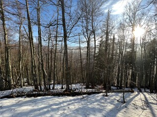 The last remnants of spring snow after a long and harsh mountain winter - Northern Velebit National...