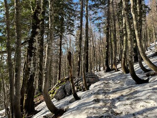 The last remnants of spring snow after a long and harsh mountain winter - Northern Velebit National...