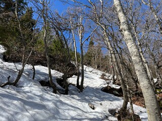 The last remnants of spring snow after a long and harsh mountain winter - Northern Velebit National...