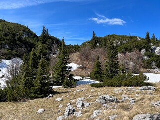 The last remnants of spring snow after a long and harsh mountain winter - Northern Velebit National...