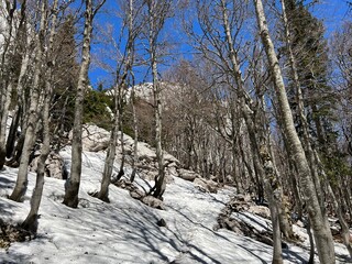 The last remnants of spring snow after a long and harsh mountain winter - Northern Velebit National...