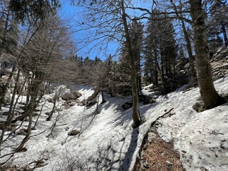 The last remnants of spring snow after a long and harsh mountain winter - Northern Velebit National...