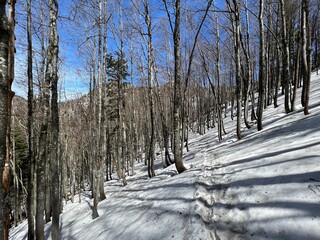 The last remnants of spring snow after a long and harsh mountain winter - Northern Velebit National...