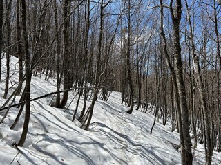 The last remnants of spring snow after a long and harsh mountain winter - Northern Velebit National...