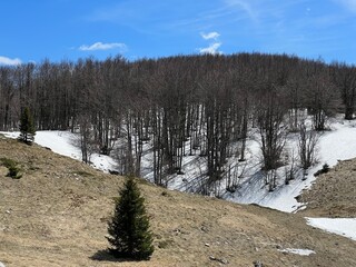 The last remnants of spring snow after a long and harsh mountain winter - Northern Velebit National...