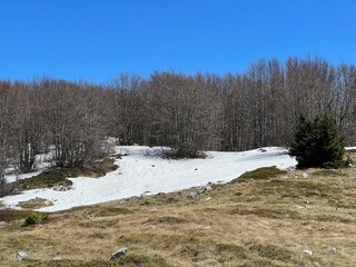 The last remnants of spring snow after a long and harsh mountain winter - Northern Velebit National...