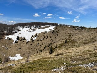 The last remnants of spring snow after a long and harsh mountain winter - Northern Velebit National Park, Croatia (Posljednji proljetni ostaci snijega nakon duge i oštre zime - NP Sjeverni Velebit)