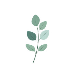 Fototapeta premium Minimalistic Eucalyptus Leaf Icon with Long, Slender Shape