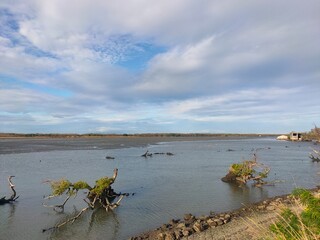 Malabon dike on a cold January 2025 morning