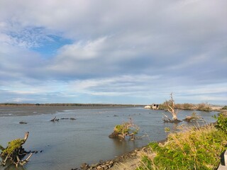 Malabon dike on a cold January 2025 morning