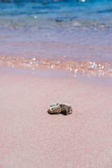 Pink Beach in the summer, famous for its unique pink sand and clear water, surrounded by breathtaking landscapes and vibrant marine life, Komodo National Park, Indonesia