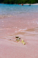 Pink Beach in the summer, famous for its unique pink sand and clear water, surrounded by breathtaking landscapes and vibrant marine life, Komodo National Park, Indonesia