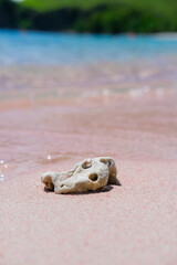 Pink Beach in the summer, famous for its unique pink sand and clear water, surrounded by breathtaking landscapes and vibrant marine life, Komodo National Park, Indonesia