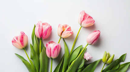 Obraz premium Flowers on white background., top view, flay lay with copy space