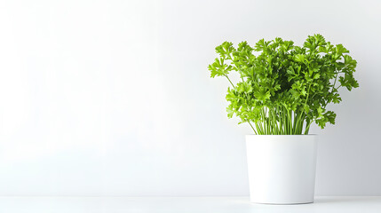 A bunch of fresh parsley in a white pot against a white background. Minimalist and clean aesthetic, perfect for cooking or health-related content.