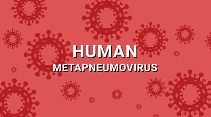 Human metapneumovirus, hMPV Virus respiratory virus vector design.