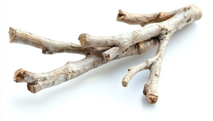 A weathered gray tree branch rests on a white background