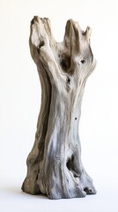 Weathered Wood Sculpture Abstract Tree Trunk Art